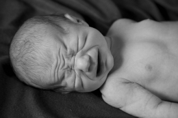 Baby_14