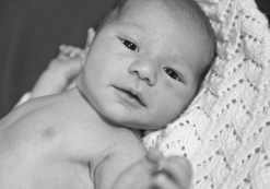 Baby_22