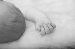 Baby_37