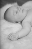 Baby_43
